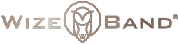 WizeBand