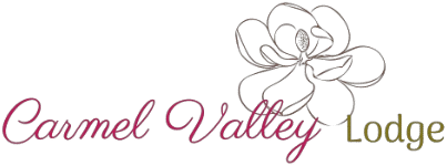 Valley Lodge