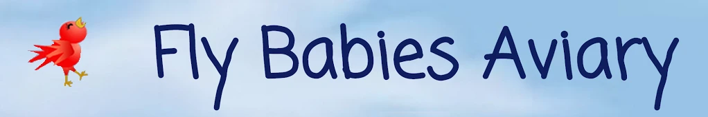 Fly Babies Aviary