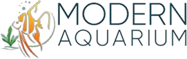 Modern Aquarium