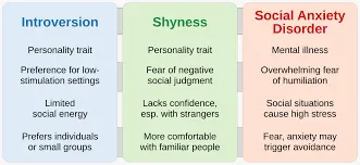 Shyness Social Anxiety