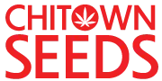 Chitown Seeds